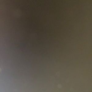 Meet your Posher, Max